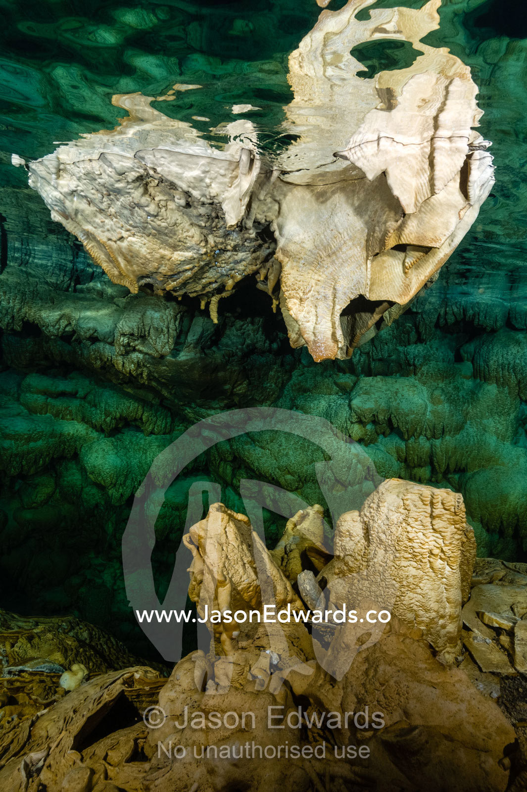 Limestone stalactites hanging from the ceiling in a submerged cave. Makatea Atoll, Tuamotu Archipelago, French Polynesia