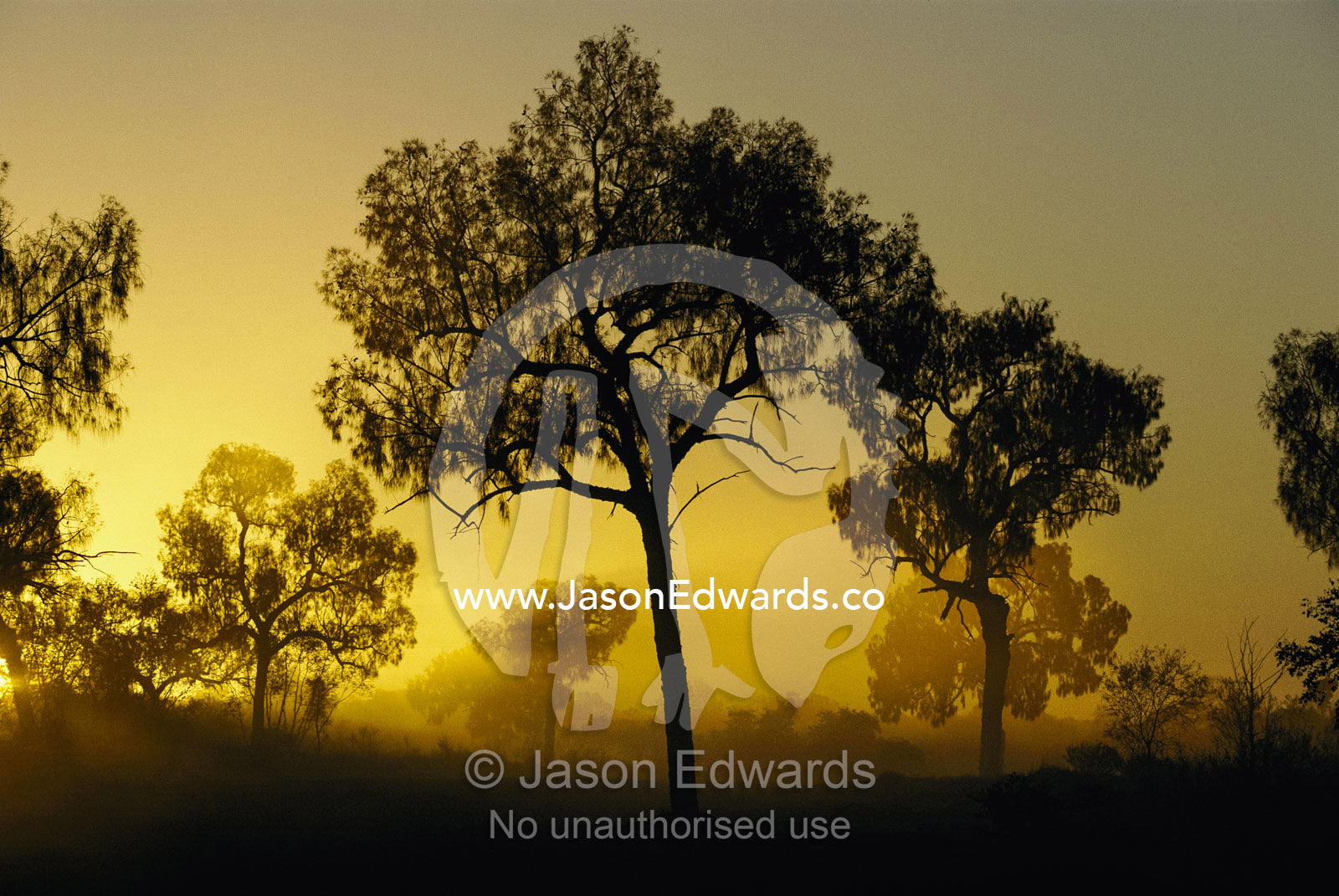 An outback sunset. Northern Territory, Australia.