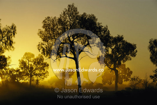 An outback sunset. Northern Territory, Australia.