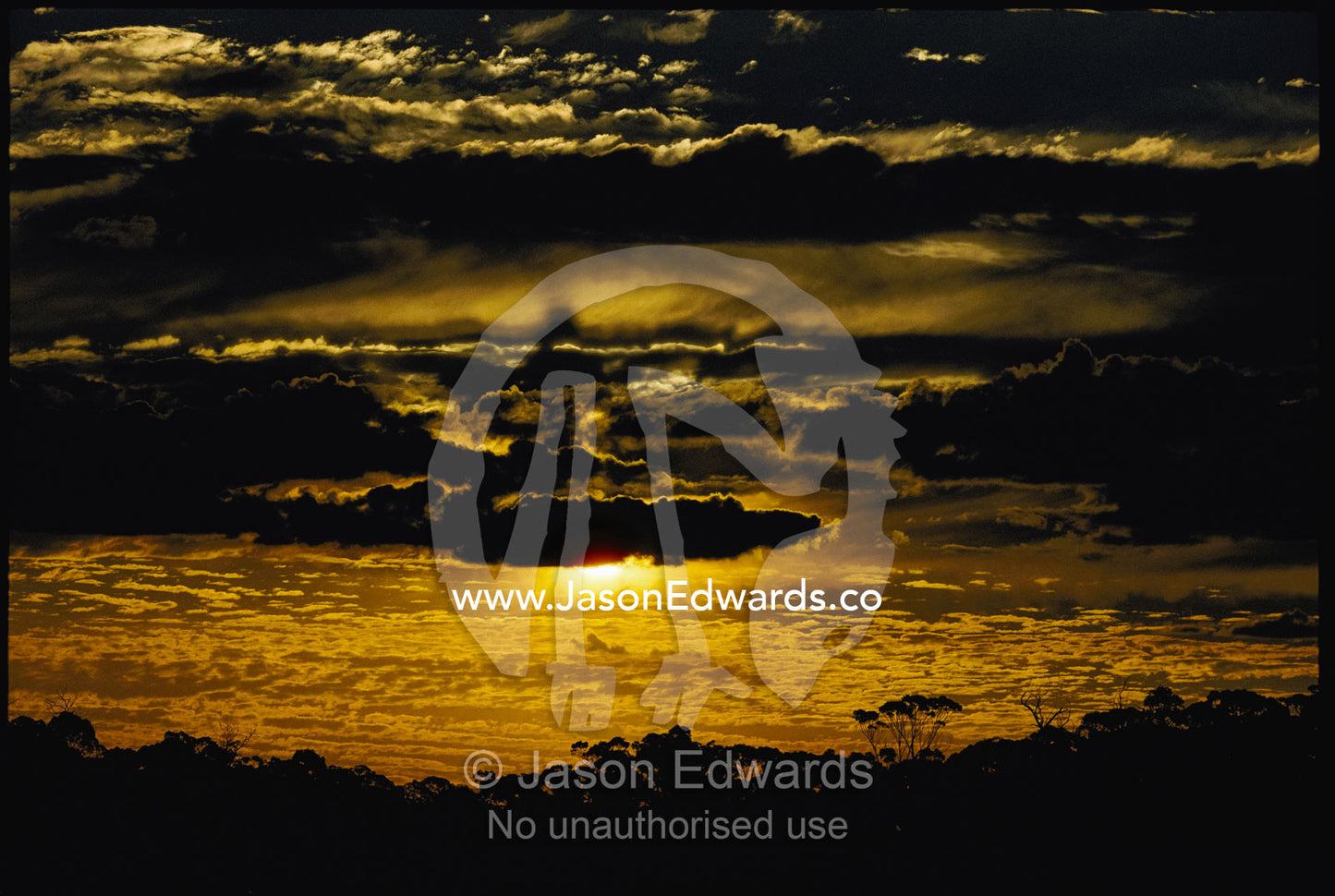 A dramatic view of a sunset storm over a eucalyptus forest. Western Australia, Australia.
