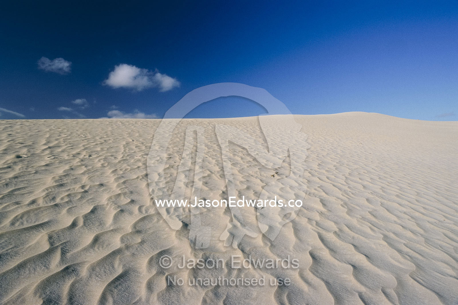 Rippled patterns on a Little Sahara Desert sand dune. Little Sahara Desert, Kangaroo Island, South Australia, Australia.
