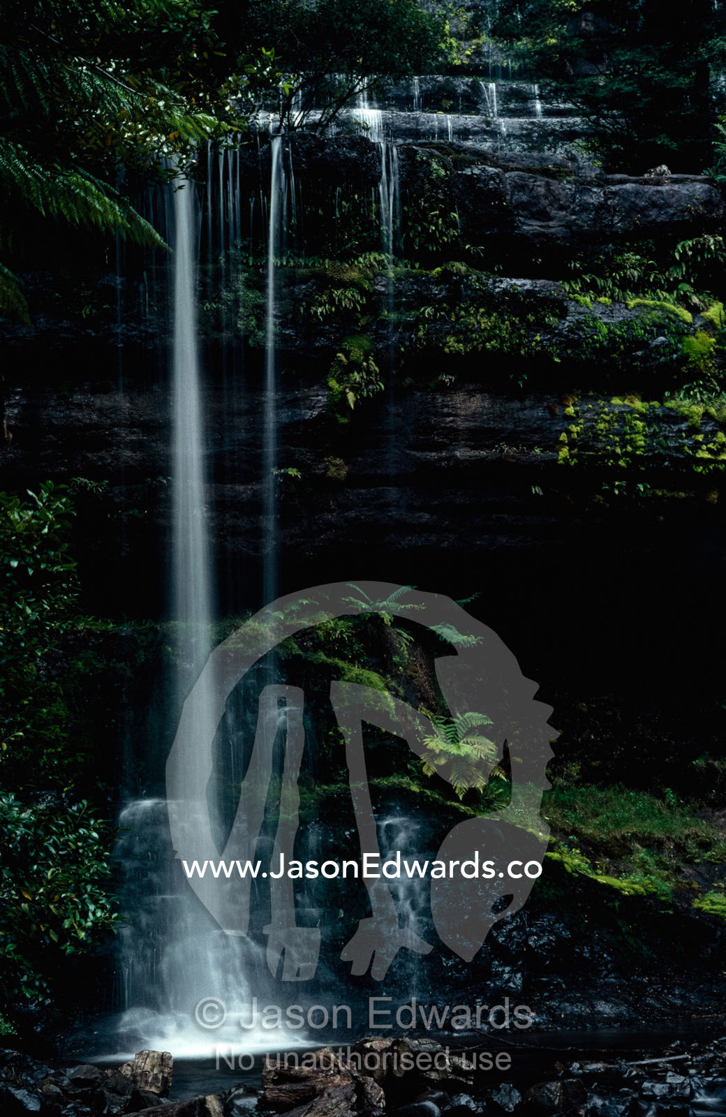 Water cascades over Russell Falls in Mount Field National Park. Mount Field National Park, Tasmania, Australia.