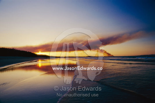Smoke from a bush fire forms a large cloud over a beach at twilight. Noosa, Queensland, Australia.