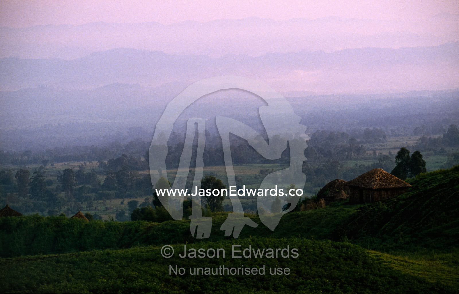 Village and farmland at the foot of the Virunga Mountains. Virunga Mountains, Democratic Republic of the Congo, Africa.