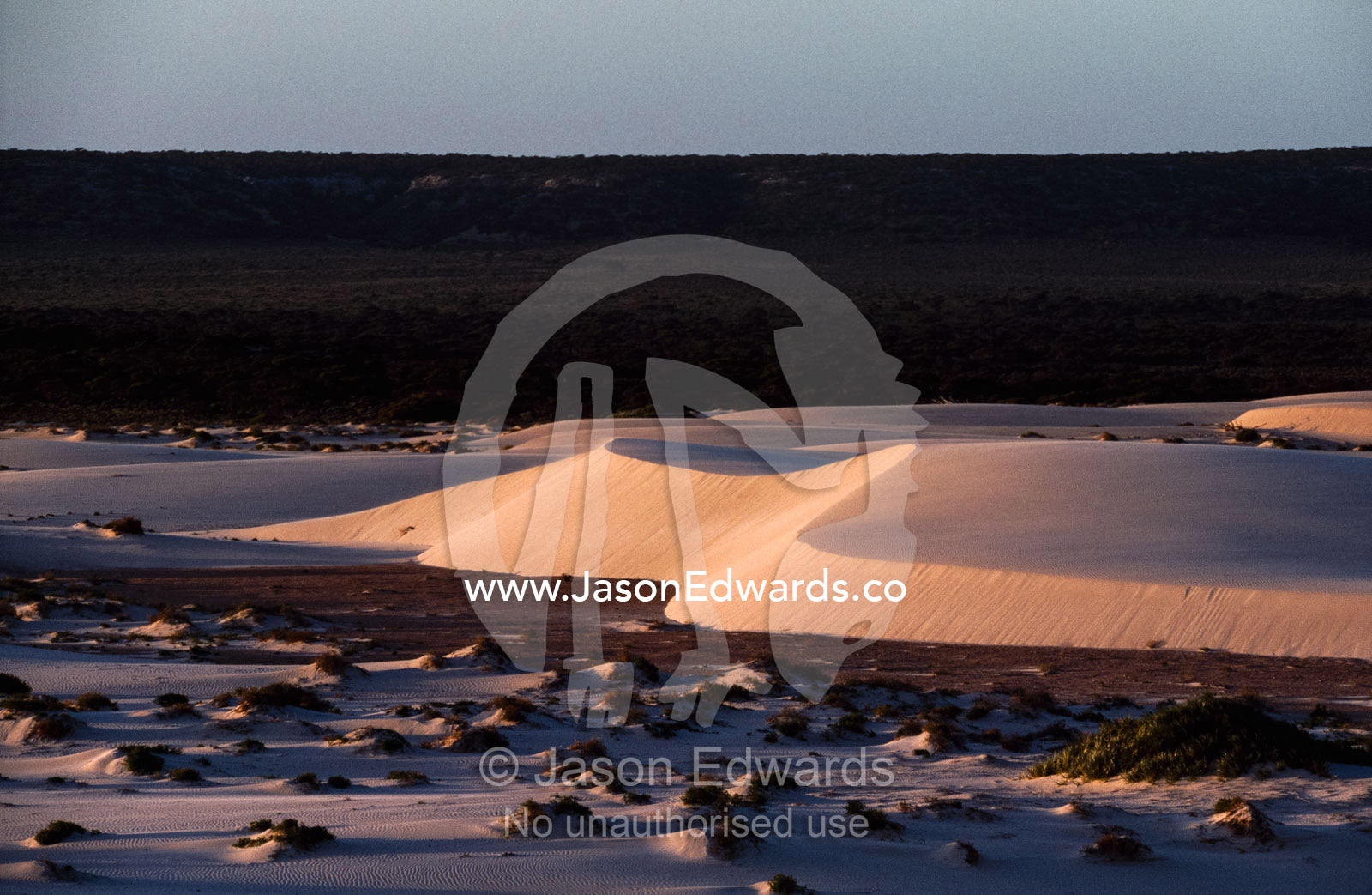 Coastal sand dunes encroach inland. Eucla Basin, Western Australia, Australia.