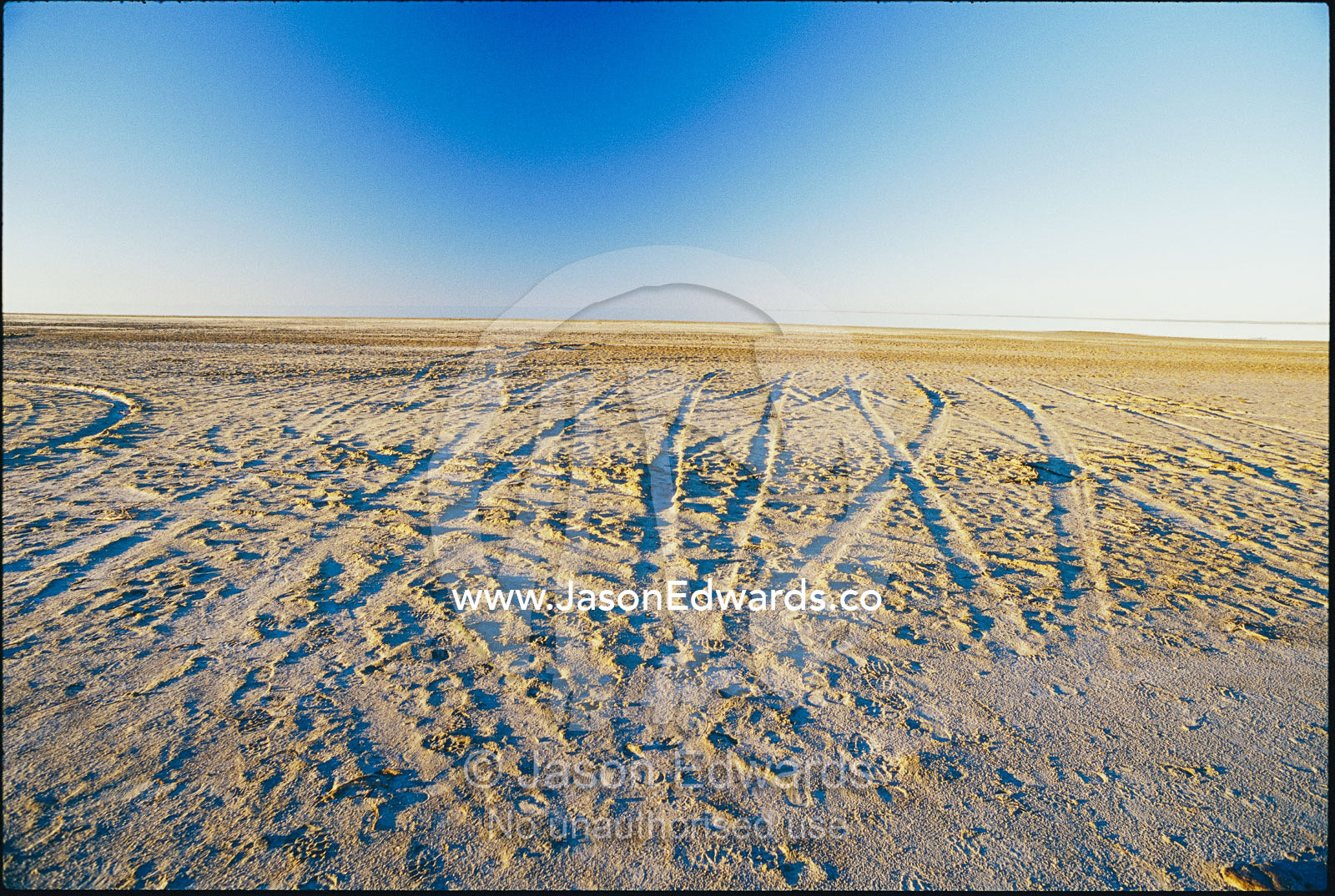 Tire tracks crisscross the shore of Lake Eyre. Lake Eyre, South Australia, Australia.