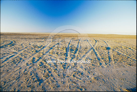 Tire tracks crisscross the shore of Lake Eyre. Lake Eyre, South Australia, Australia.