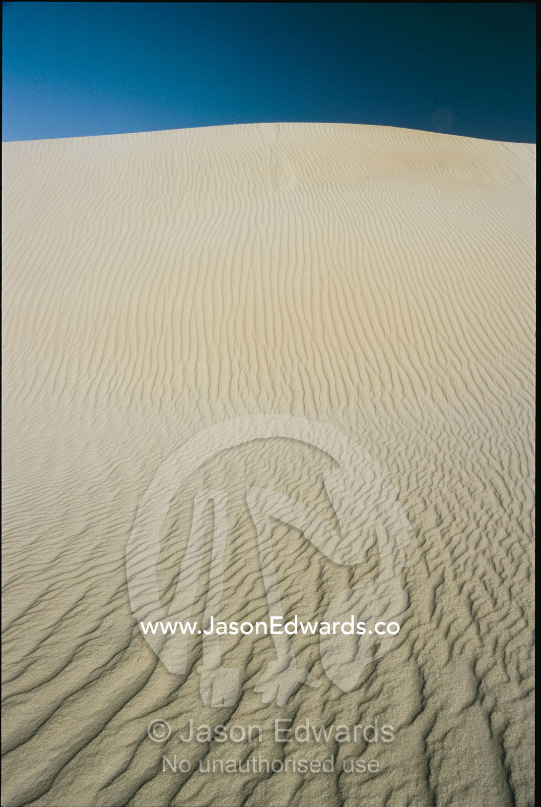 A wind-rippled sand dune in the Little Sahara Desert. Little Sahara Desert, Kangaroo Island, South Australia, Australia.