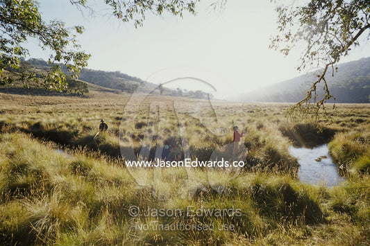 A father and daughter fly fish together. Alpine National Park, Victoria, Australia.
