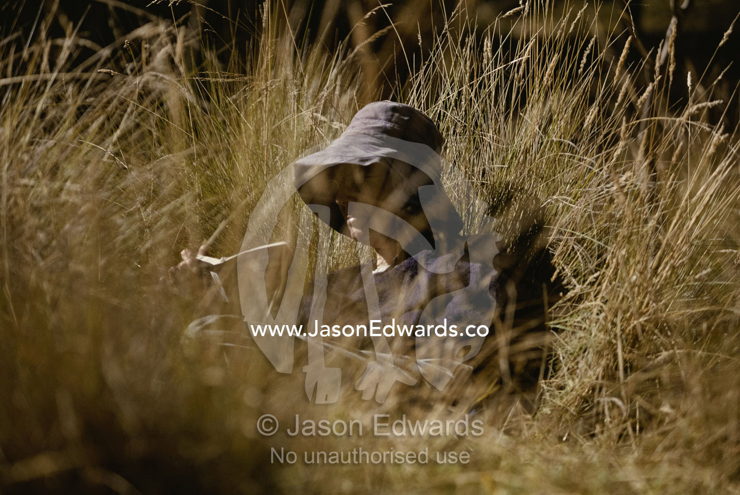 A woman reads while nestled in tall grass. Alpine National Park, Victoria, Australia.