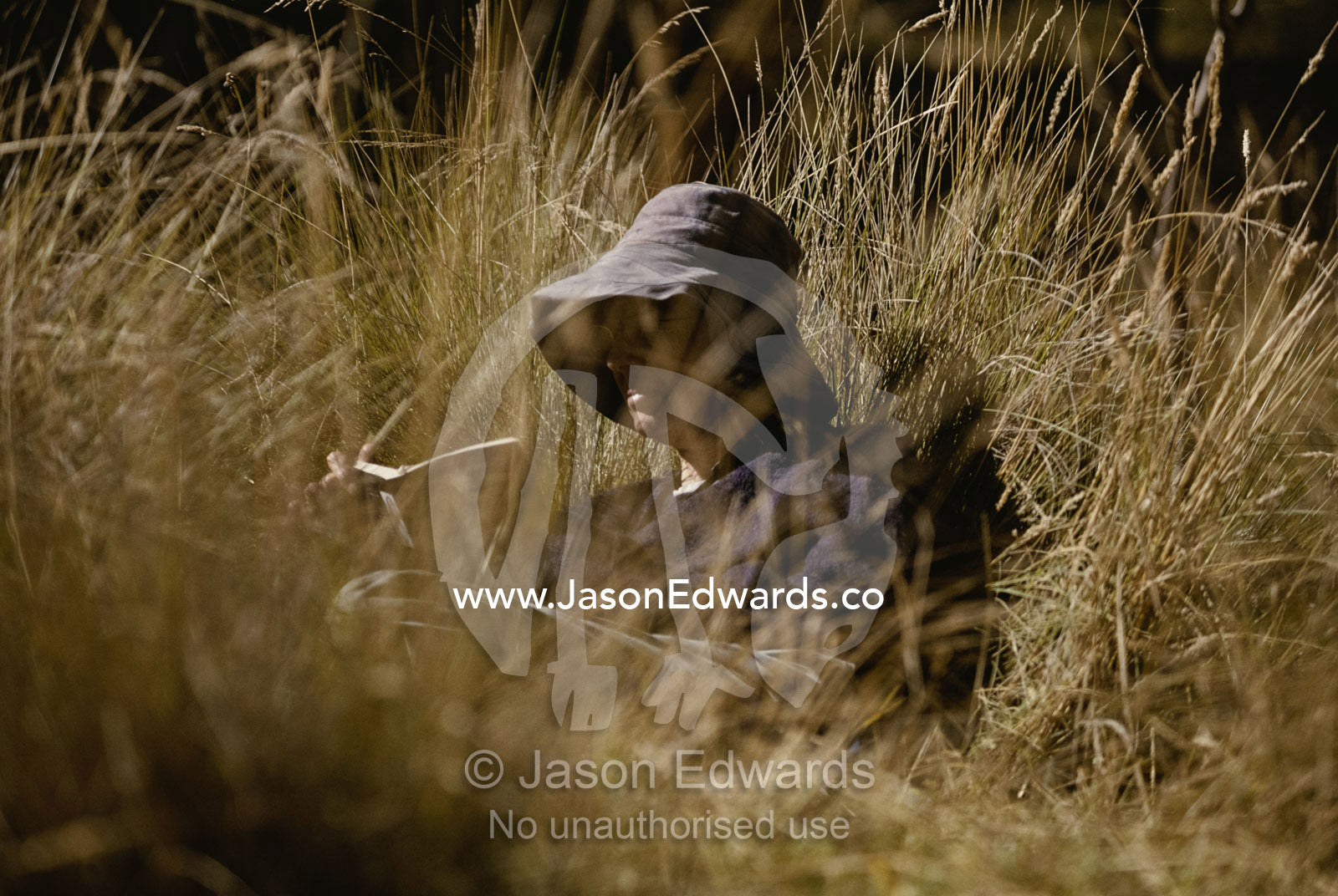A woman reads while nestled in tall grass. Alpine National Park, Victoria, Australia.