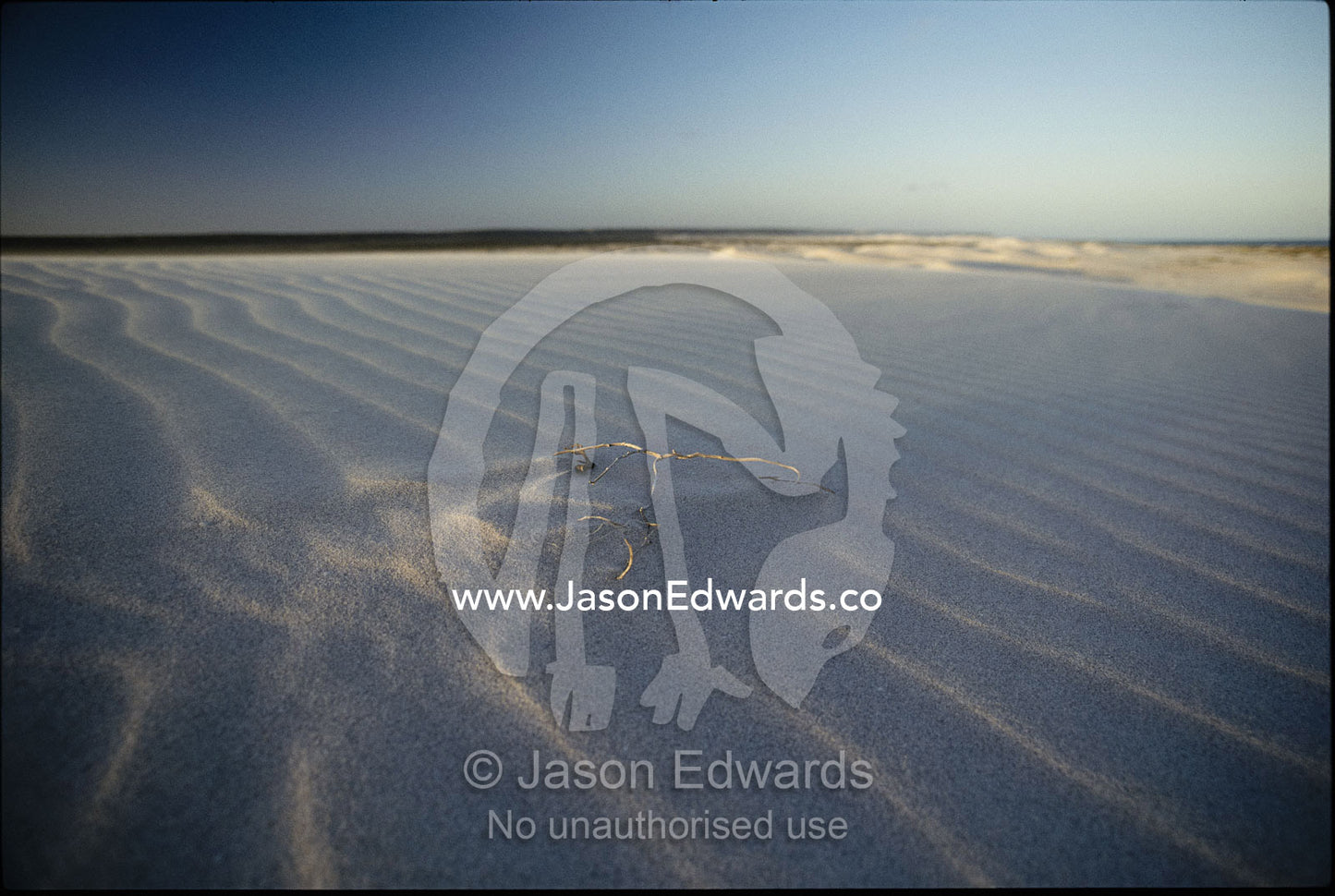 Wind-blown patterns on sand with twigs. Eucla, Western Australia, Australia.