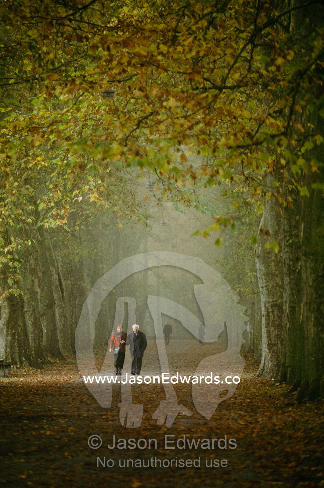 A couple stroll through autumn leaves on a foggy dawn. Tubingen, Baden-Wurttenberg, Germany.