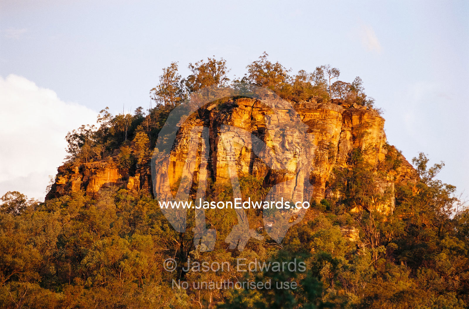 Sandstone escarpment in the Consuelo Tableland. Carnarvon National Park, Queensland, Australia.