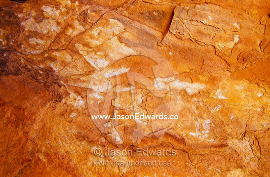 Sandstone rock face detail. Stanley Chasm, Northern Territory, Australia.