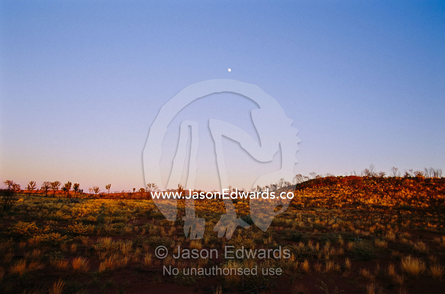 Moonrise over desert and spinifex grass. Uluru-Kata Tjuta National Park, Northern Territory, Australia.