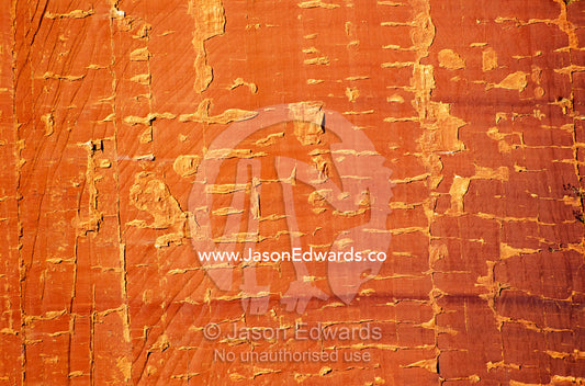 Detail of Merenie sandstone cliff wall face in Kings Canyon. Kings Canyon, Watarrka National Park, Northern Territory, Australia.