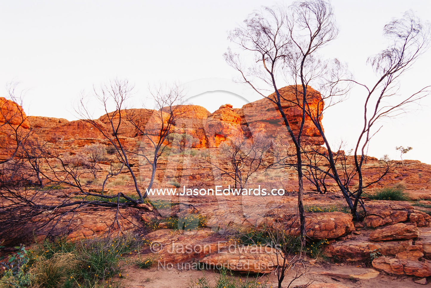 Beehive-like rock formations at sunset at the "Lost City" site. Watarrka National Park, Northern Territory, Australia.