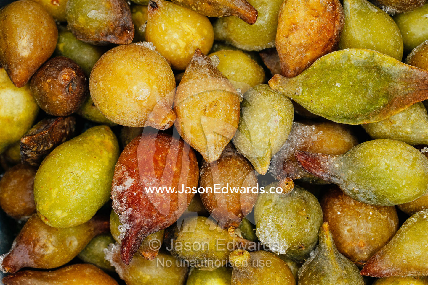 Kadadu plums have the highest concentration of vitamin C of any fruit. Australia.