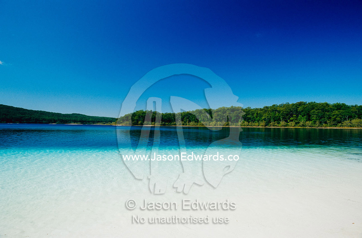 View across a clear, pristine freshwater lake. Lake McKenzie, Great Sandy National Park, Queensland, Australia.