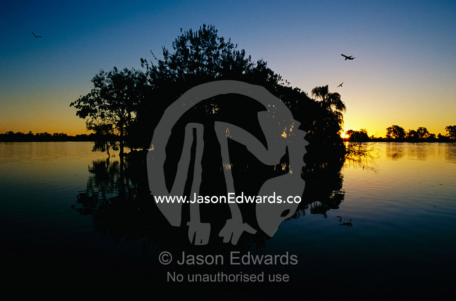 View at sunset of an offshore island in a wetland lagoon. Murray Lagoon, Fitzroy River, Queensland, Australia.