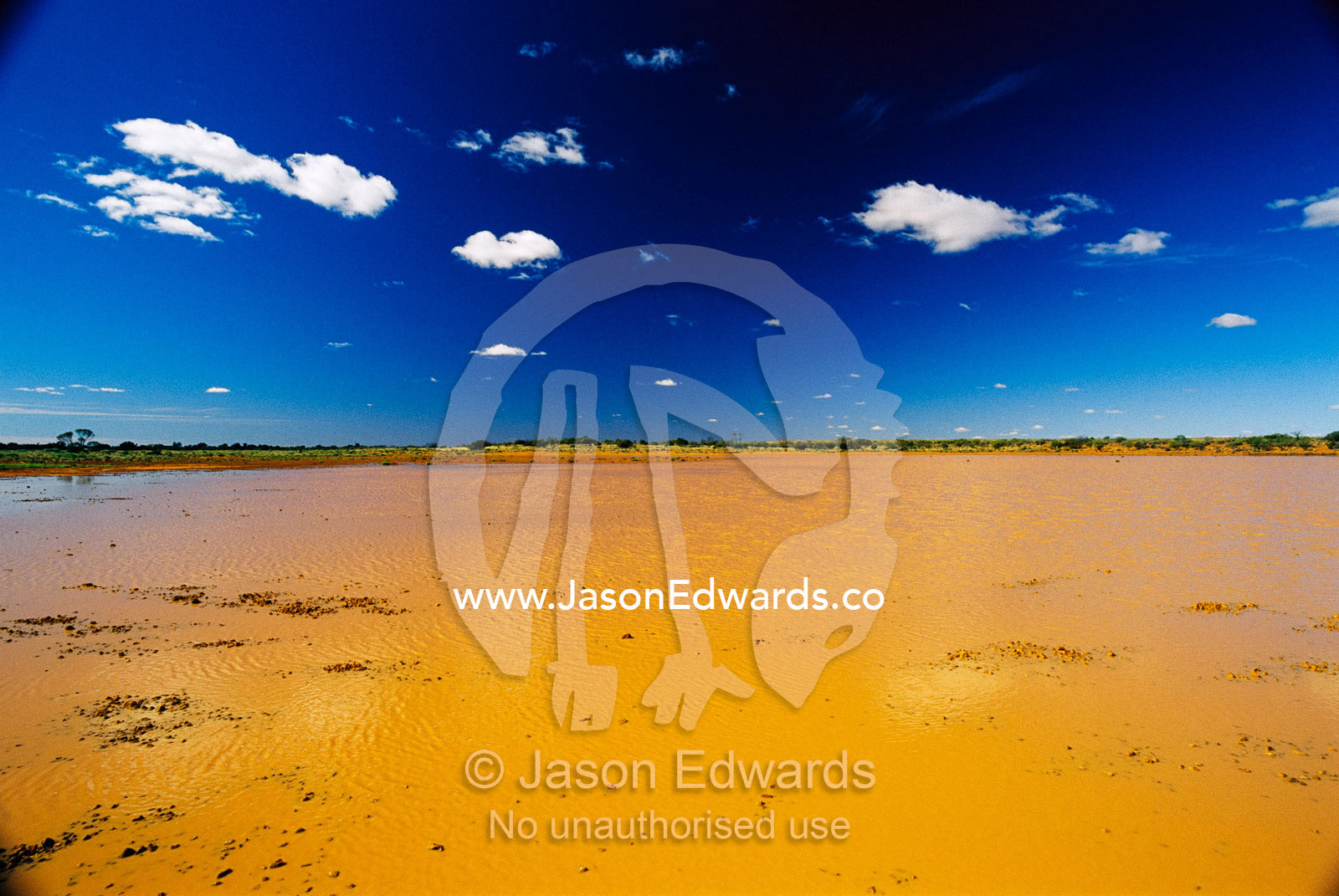 Flooded desert plain in Witjira National Park. Witjira National Park, South Australia.