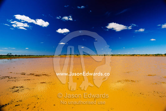 Flooded desert plain in Witjira National Park. Witjira National Park, South Australia.