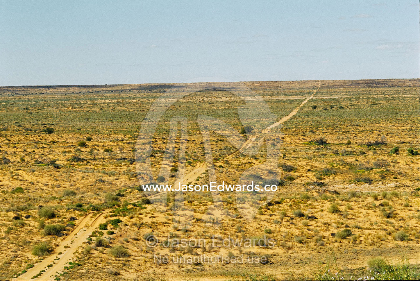 Vehicular tracks over sand dunes in remote harsh outback. Simpson Desert Conservation Park, South Australia.