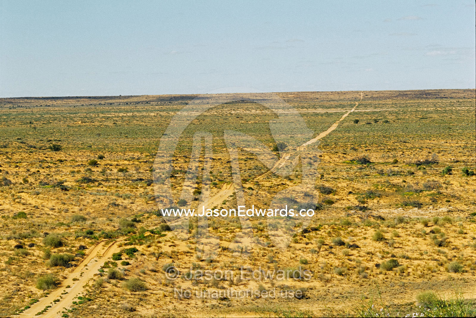 Vehicular tracks over sand dunes in remote harsh outback. Simpson Desert Conservation Park, South Australia.