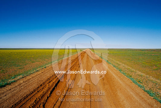 Track damage done by 4WD vehicles following rain in the outback. Simpson Desert Conservation Park, South Australia.