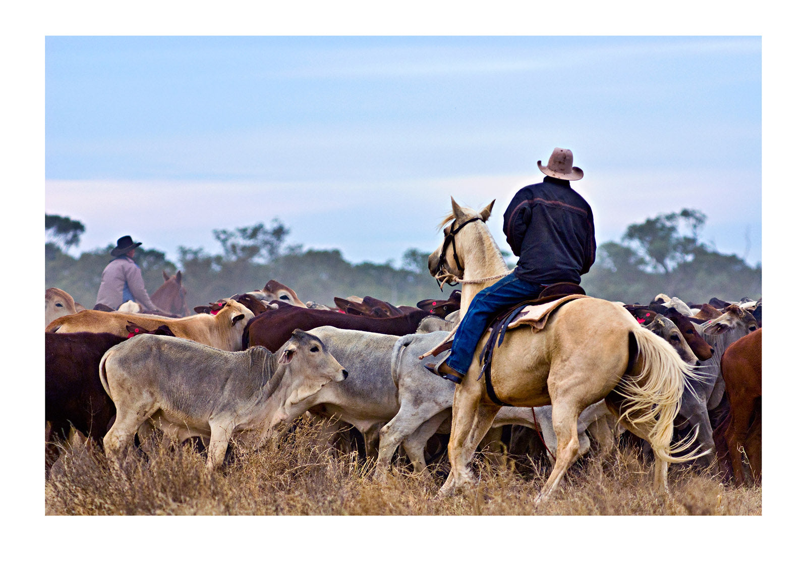 Australian Stockmen - by National Geographic Photographer Jason Edwards ...