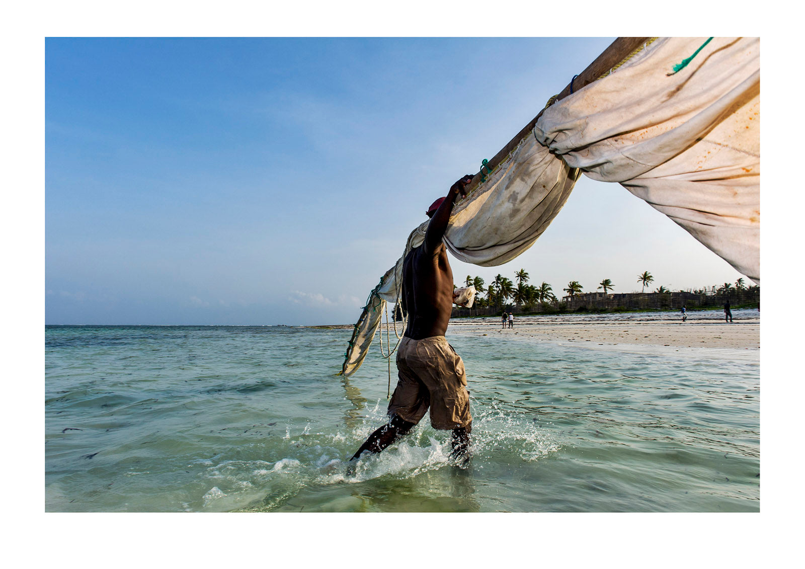 A fisherman carries the tarpaulin sail and mast from his wooden trimaran sailing dhow to shore at sunset. Bwejuu, Unguja Island, Zanzibar, Tanzania, Africa.