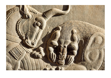 A limestone frieze of a lion battling a bull carved into a stone wall at Persepolis. Persepolis, Shiraz, Fars Province, Islamic Republic of Iran.
