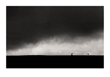 A solitary ostrich silhouetted beneath an ominous black storm front. Captured on Ilford HP5 black and white negative film. Ngorongoro Conservation Area, Tanzania.