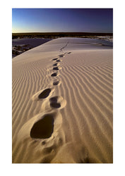 Lonely footprints rise up over a coastal sand dune crest at sunset. Eucla, Western Australia.