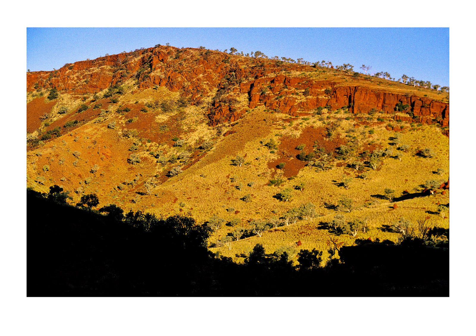 Ancient red cliffs and Ghost Gums illuminated by the setting sun. Hammersley Ranges National Park, Pilbara, Western Australia.