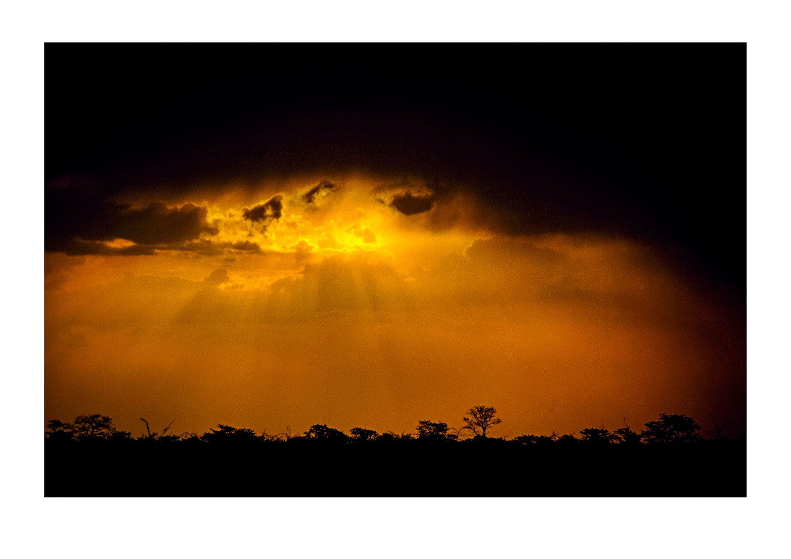 A dark and menacing storm at sunset descends over the savannah veld. Etosha National Park, Namibia.