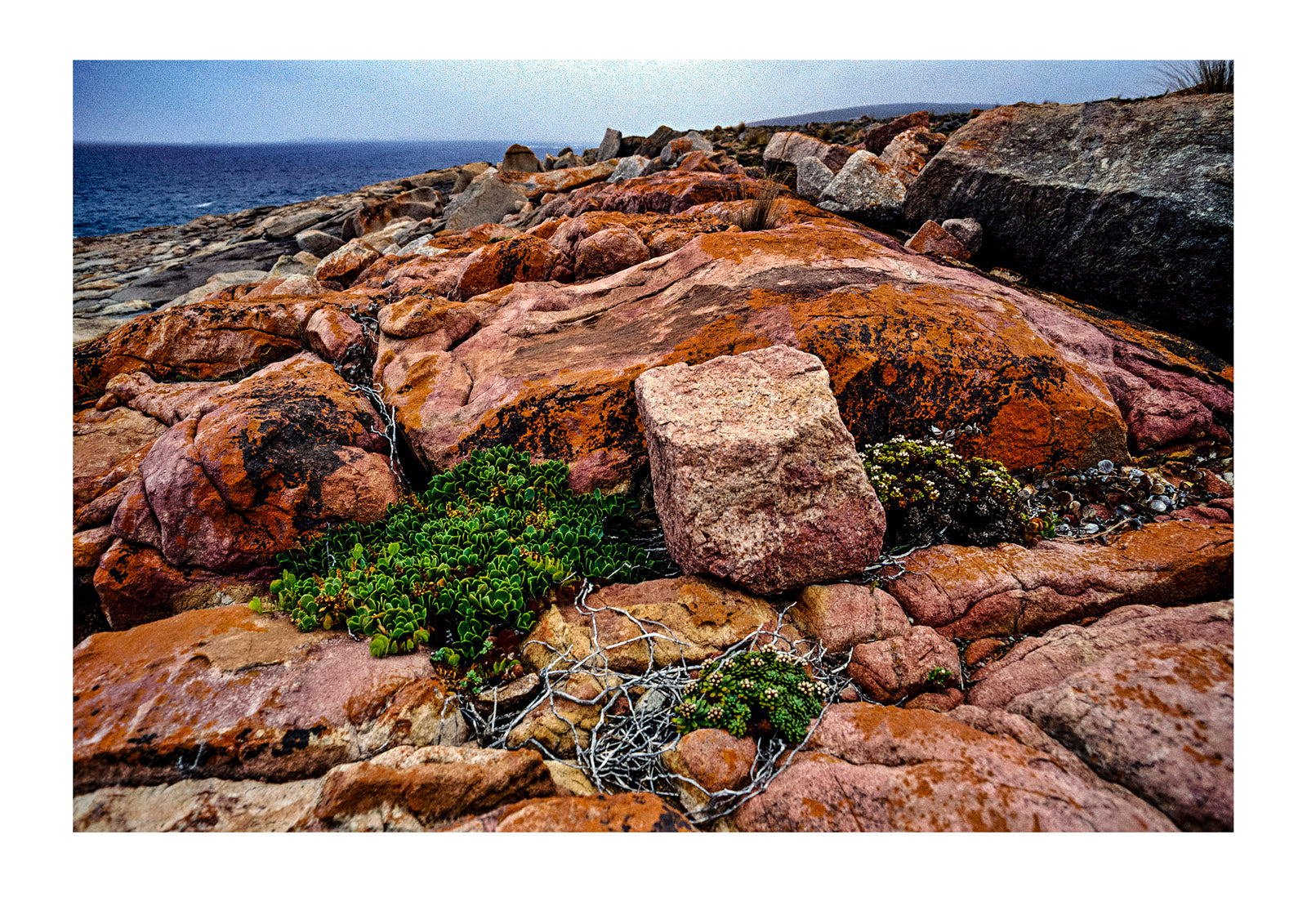 Pink granite boulders cluster on a stormy, windswept coastline. Lincoln National Park, Memory Cove Wilderness Protection Area, South Australia, Australia.