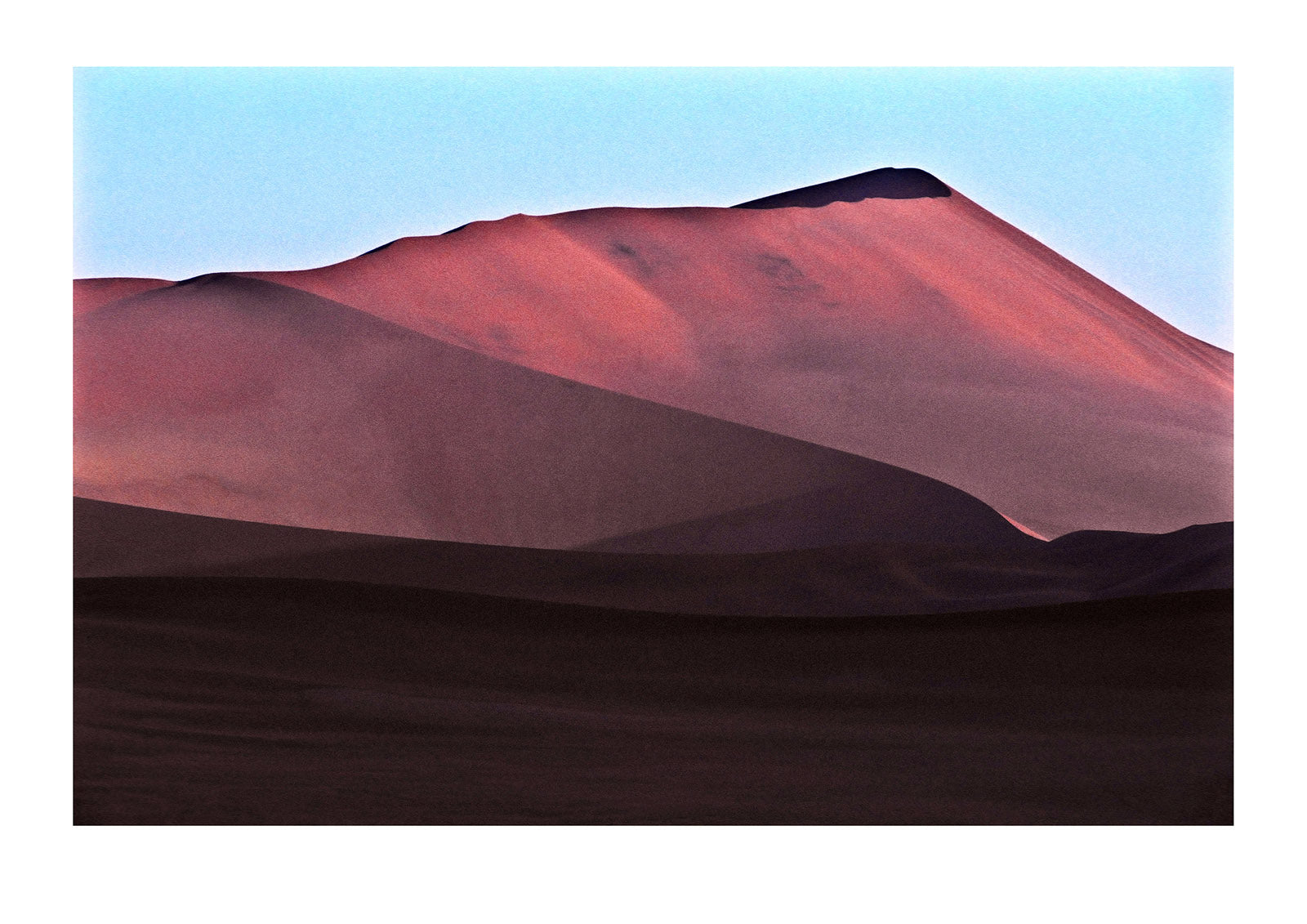 The pink hues of a vast sand dune crest against a blue sky at sunset. near Sossusvlei, Great Southern Dune Field, Namib-Naukluft National Park, Namibia.